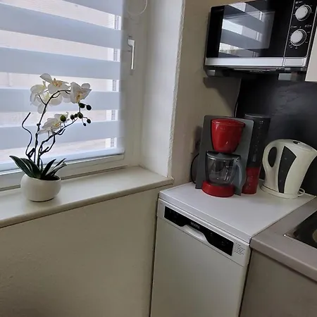 In Ruhiger Südvorstadt * Zwickau