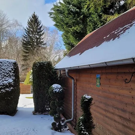In Ruhiger Suedvorstadt Apartament Zwickau